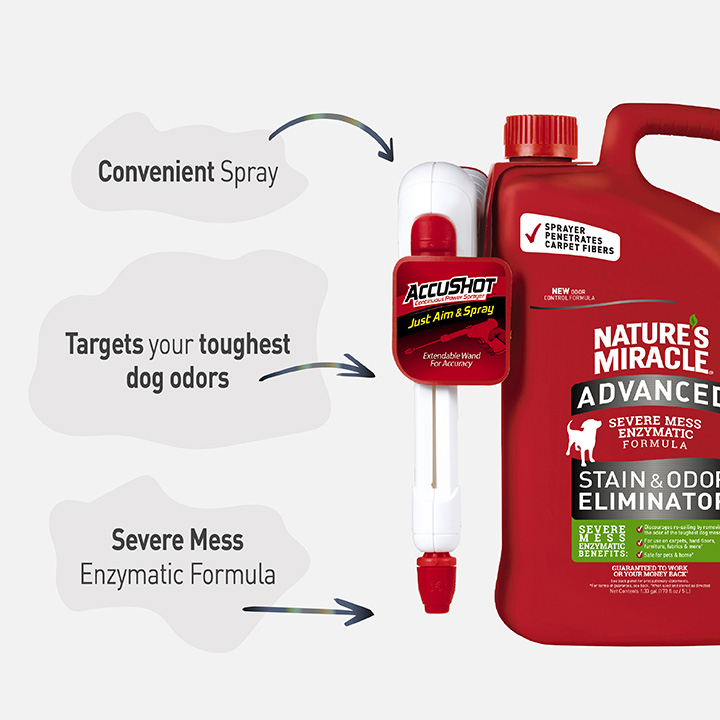 Nature's miracle stain on sale and odor remover foam